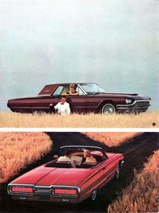 1964 Ford Total Performance-10.jpg